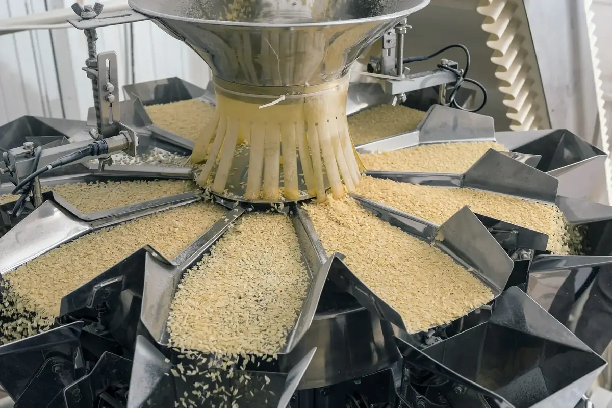 Food processing plant with stainless steel sanitary production equipment